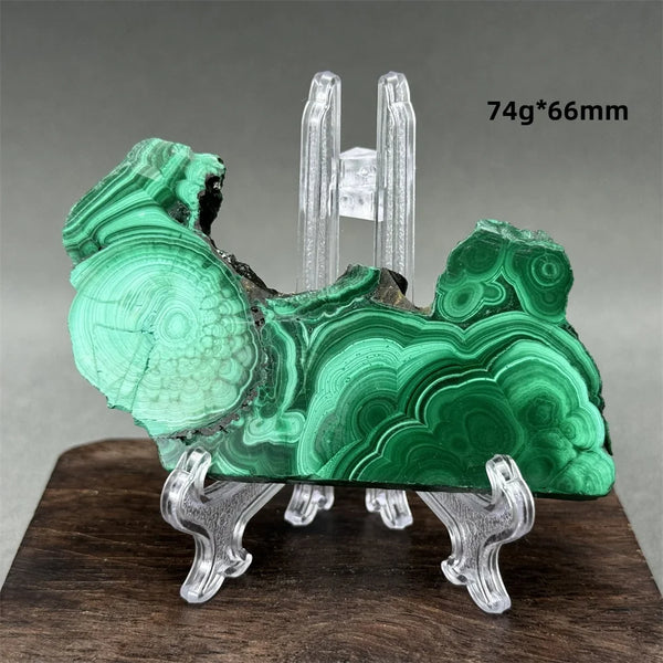 Green Malachite Raw Slice-ToShay.org