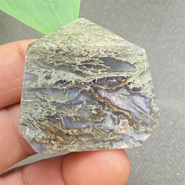 Green Water Plant Agate-ToShay.org