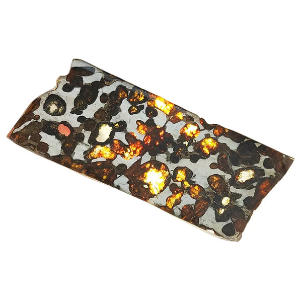 Olive Meteorite Slice-ToShay.org