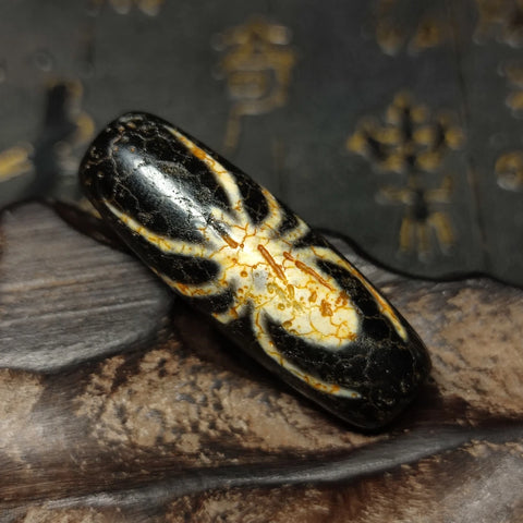 Tibetan Agate Dzi Bead-ToShay.org