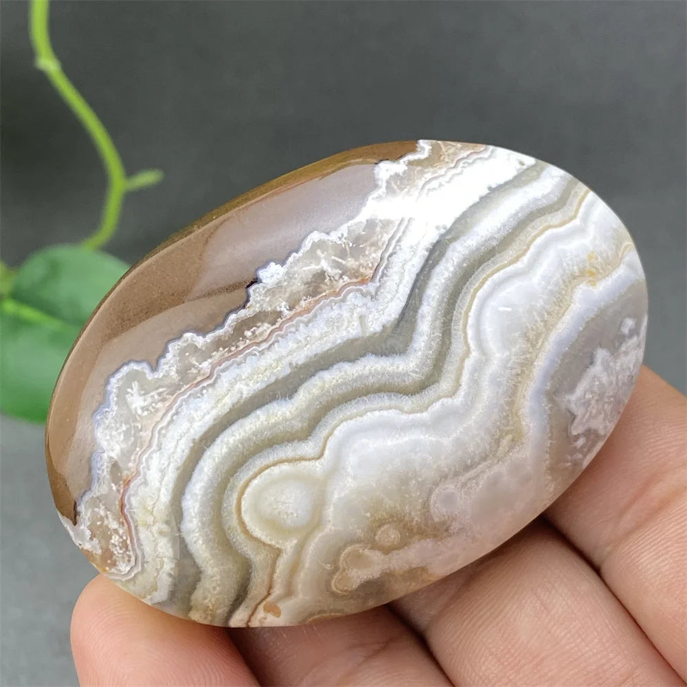 Red Lace Crazy Agate-ToShay.org