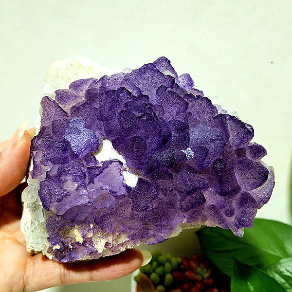 Purple Fluorite Crystal-ToShay.org