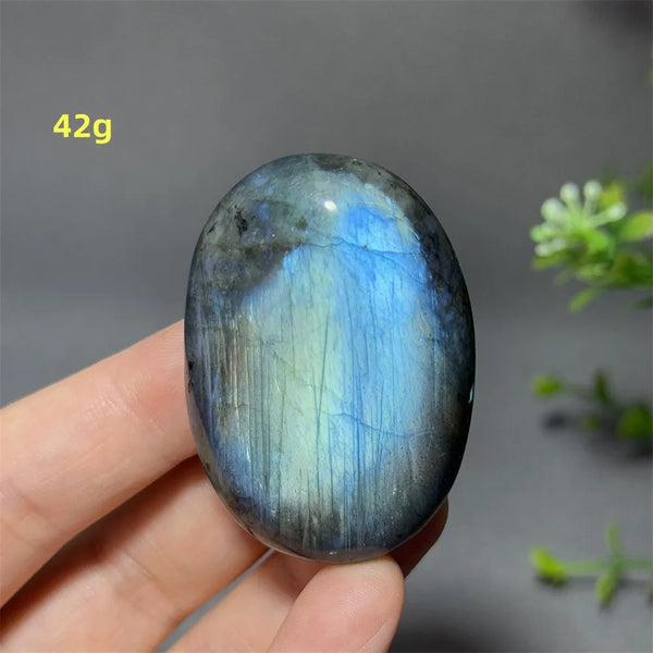 Blue Labrador Palm Stone-ToShay.org