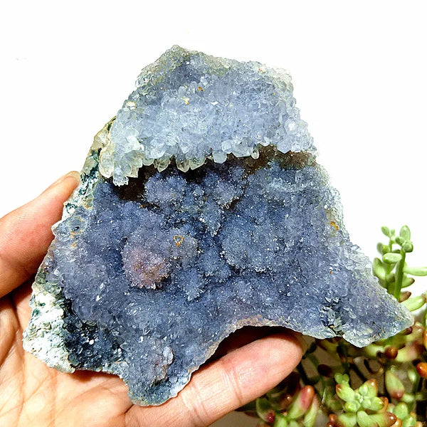 Purple Vision Crystal Cluster-ToShay.org