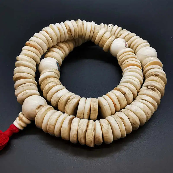 White Conch Shell Coin Beads-ToShay.org