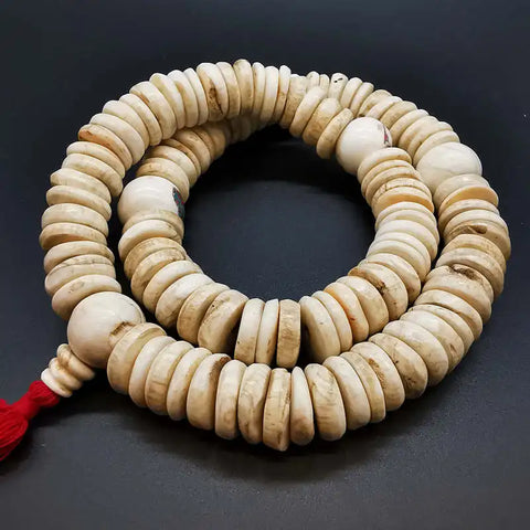 White Conch Shell Beads-ToShay.org
