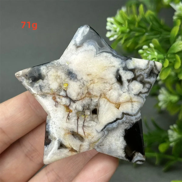 Black Cherry Blossom Agate-ToShay.org