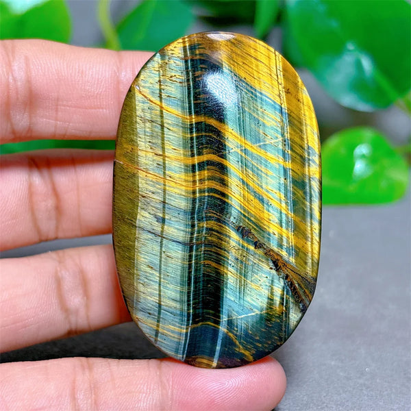 Blue Yellow Tiger Eye-ToShay.org