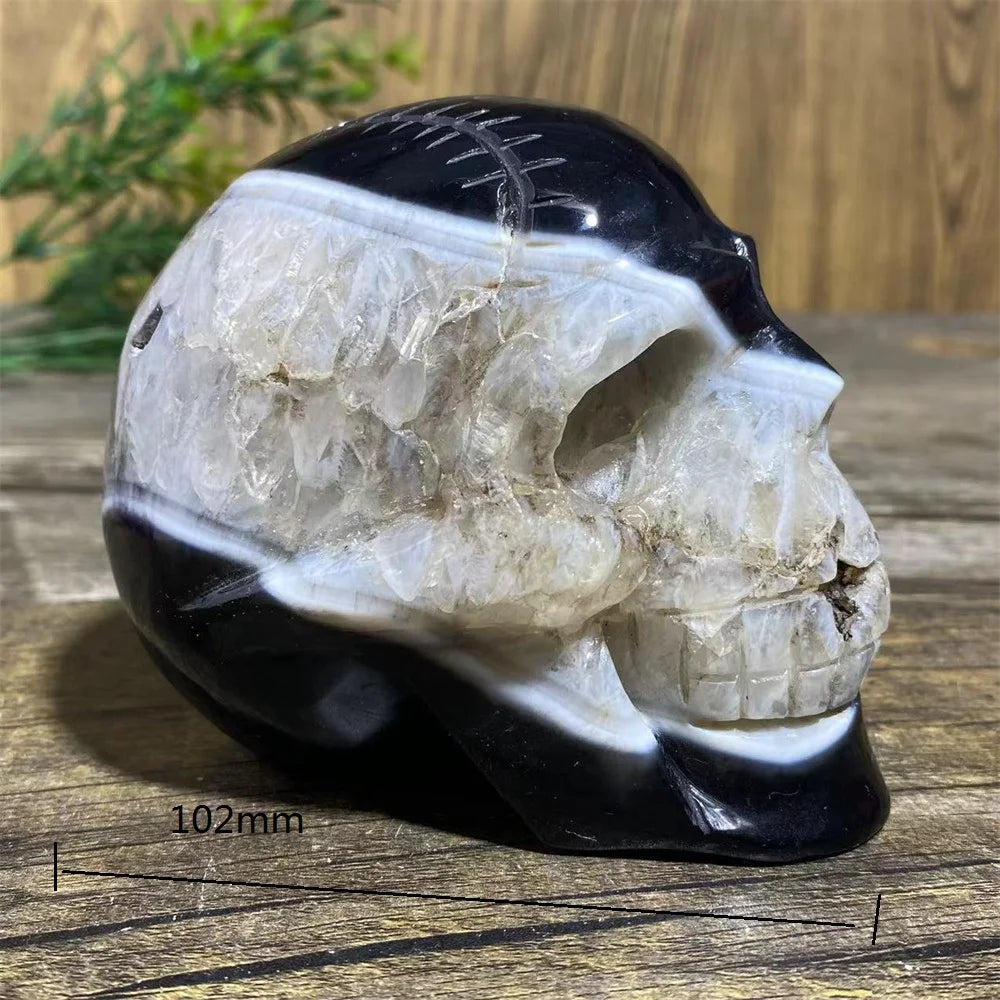 Black Agate Skull-ToShay.org
