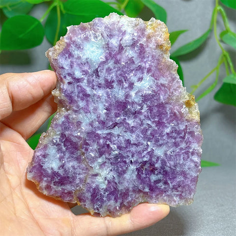 Purple Lepidolite Crystal-ToShay.org