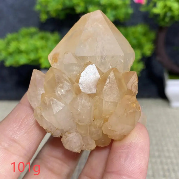 White Quartz Crystal Cluster-ToShay.org