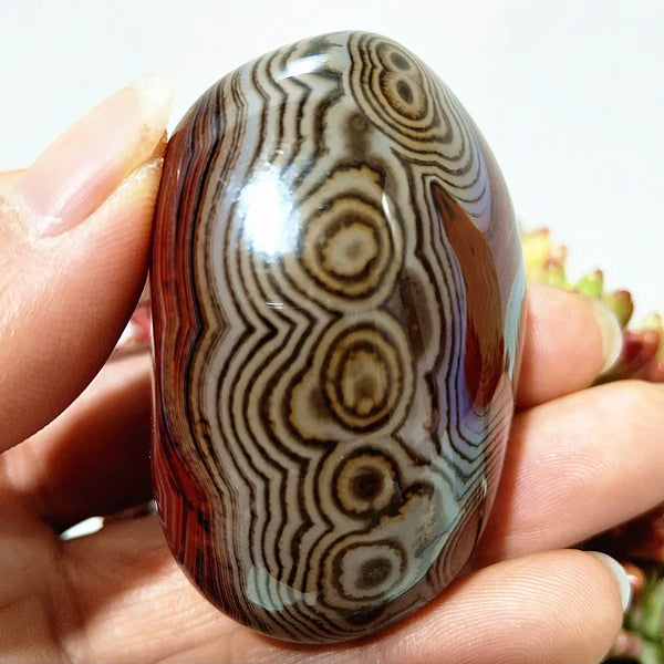 Red Lace Sardonyx Agate-ToShay.org