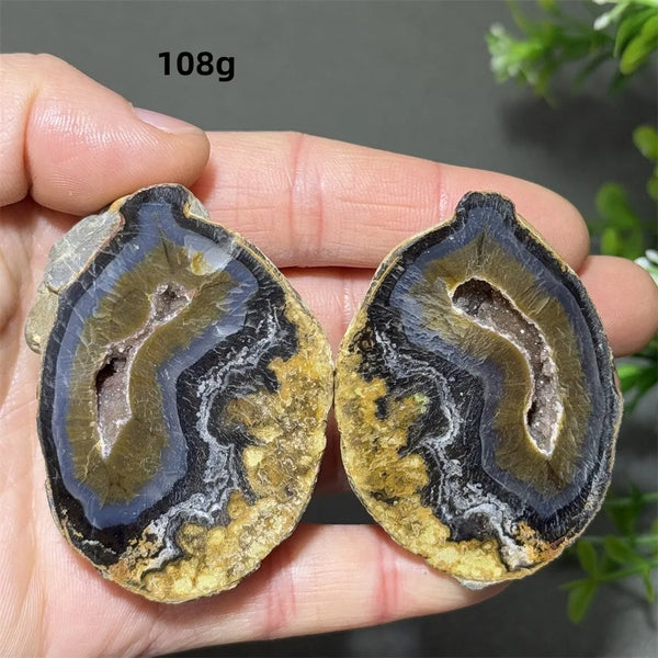 Mixed Agate Crystal Cave Egg-ToShay.org