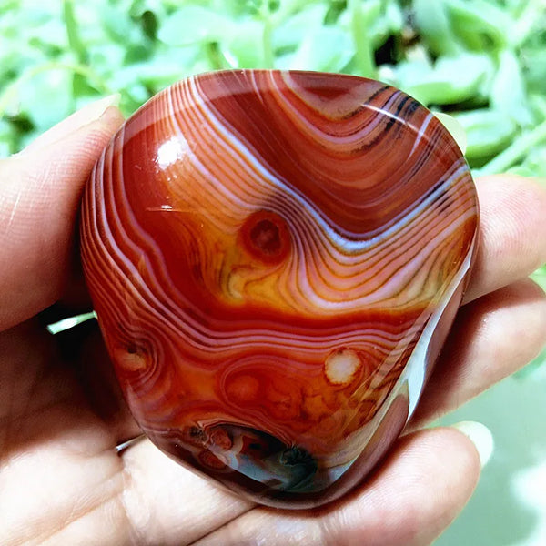 Red Sardonyx Lace Agate-ToShay.org
