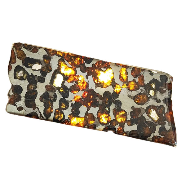 Olive Meteorite Slice-ToShay.org