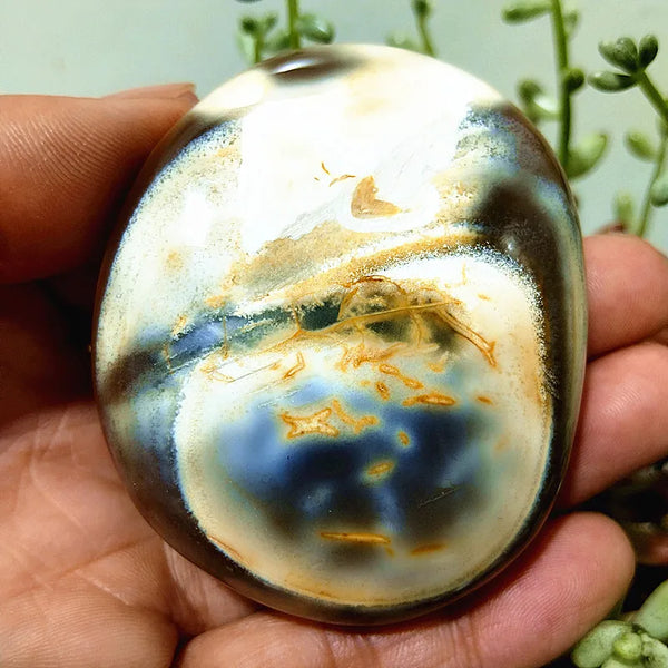 Mixed Lace Sardonyx Agate-ToShay.org
