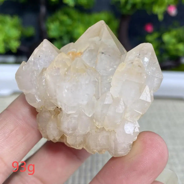 White Quartz Crystal Cluster-ToShay.org