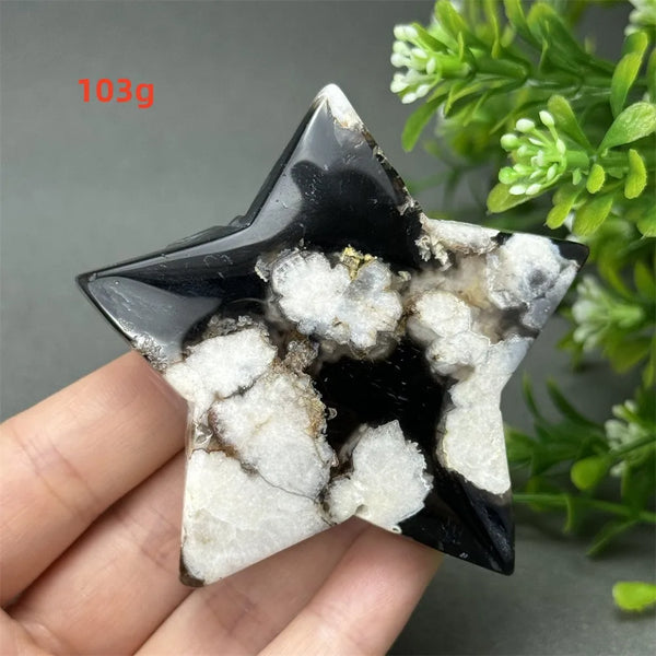 Black Cherry Blossom Agate-ToShay.org