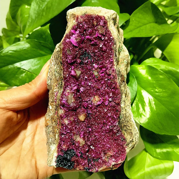 Pink Cobaltocalcite Crystal-ToShay.org