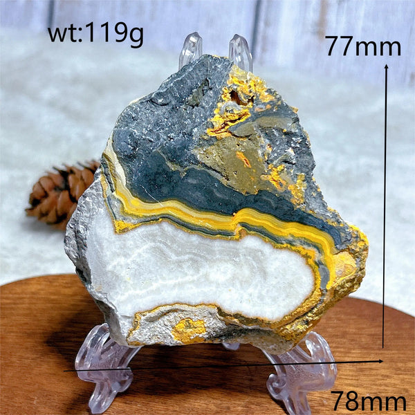 Yellow Bumblebee Slab-ToShay.org