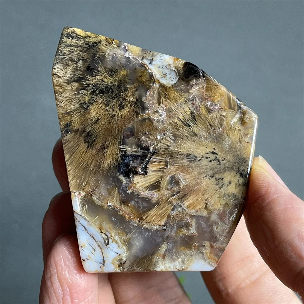 Black Rutilated Hair Raw Quartz-ToShay.org