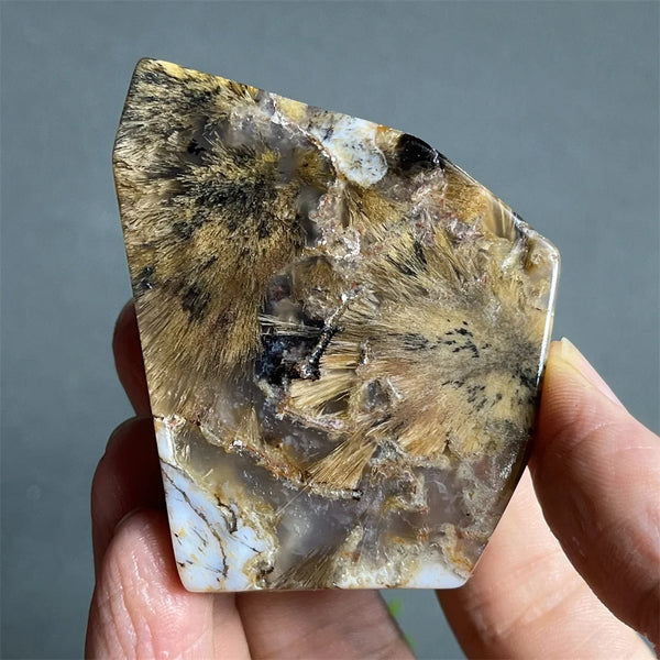 Black Rutilated Hair Raw Quartz-ToShay.org
