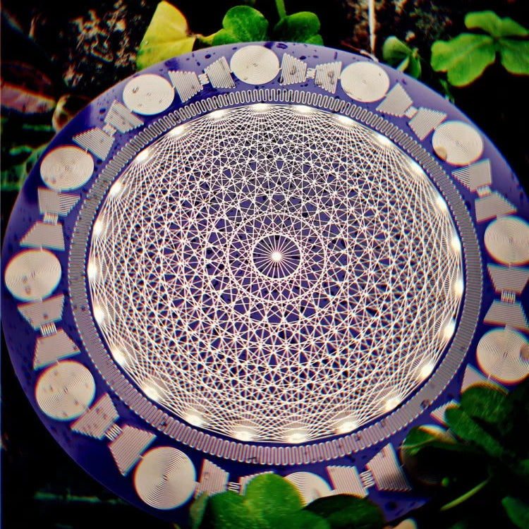 Circuit Board Polarizing Disk-ToShay.org