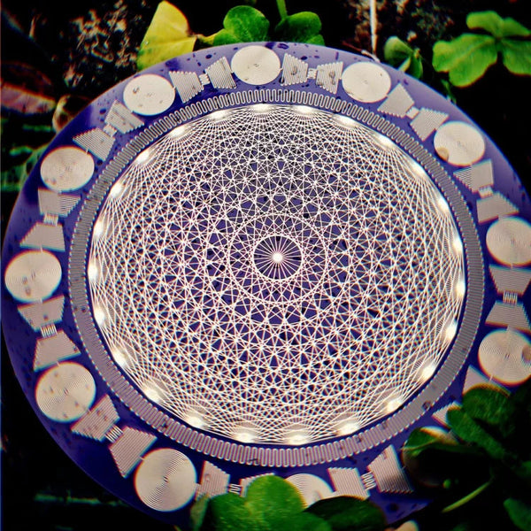 Circuit Board Polarizing Disk-ToShay.org