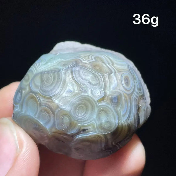 Mixed Gobi Eye Agate-ToShay.org