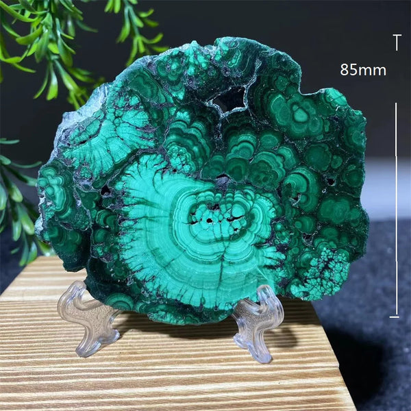 Green Malachite Slice-ToShay.org