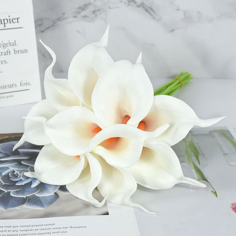 Calla Lily Stem Flower-ToShay.org