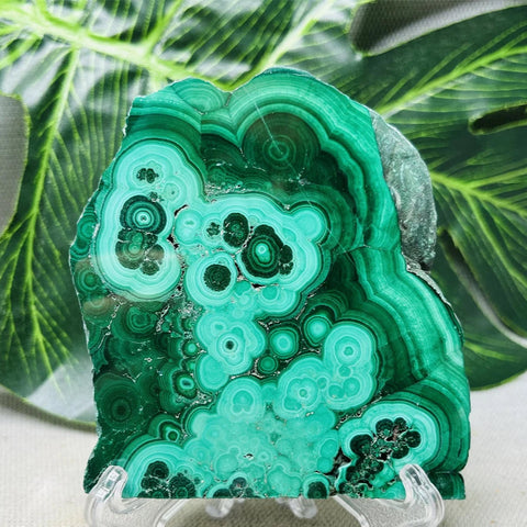 Green Malachite Slice-ToShay.org