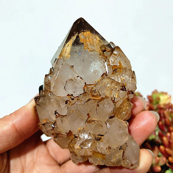 Yellow Mud Sparkling Clusters-ToShay.org