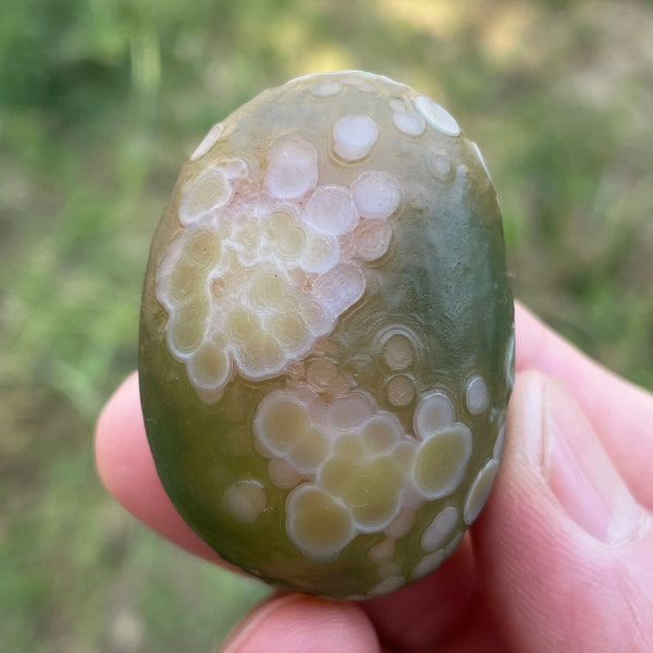 Black Agate Alxa Gobi Eye-ToShay.org