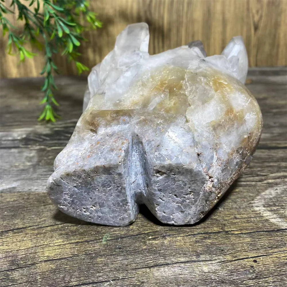 Clear Quartz Skull Cluster-ToShay.org