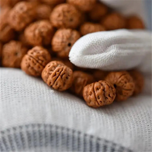 Brown Dragon Lotus Seed Beads-ToShay.org