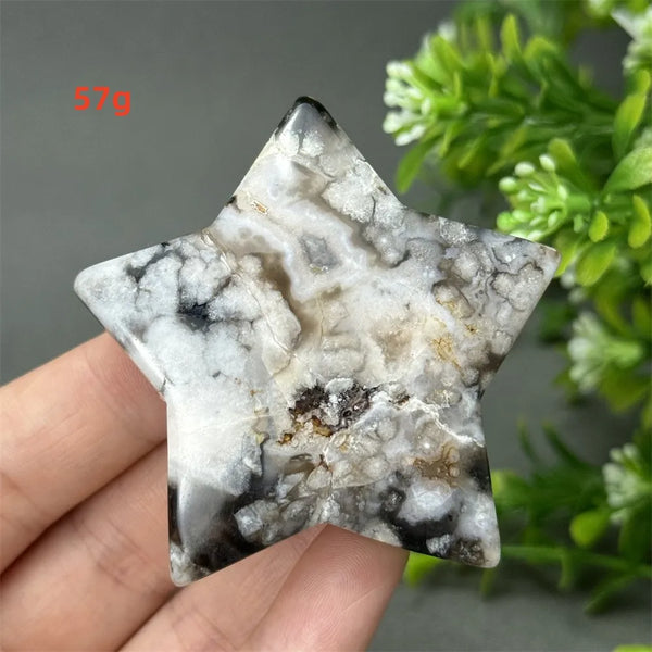 Black Cherry Blossom Agate-ToShay.org