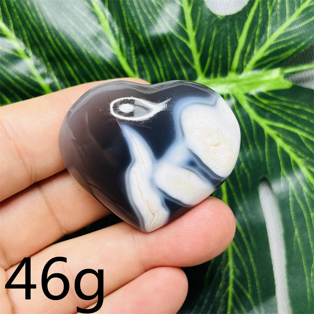 Black White Orca Agate-ToShay.org