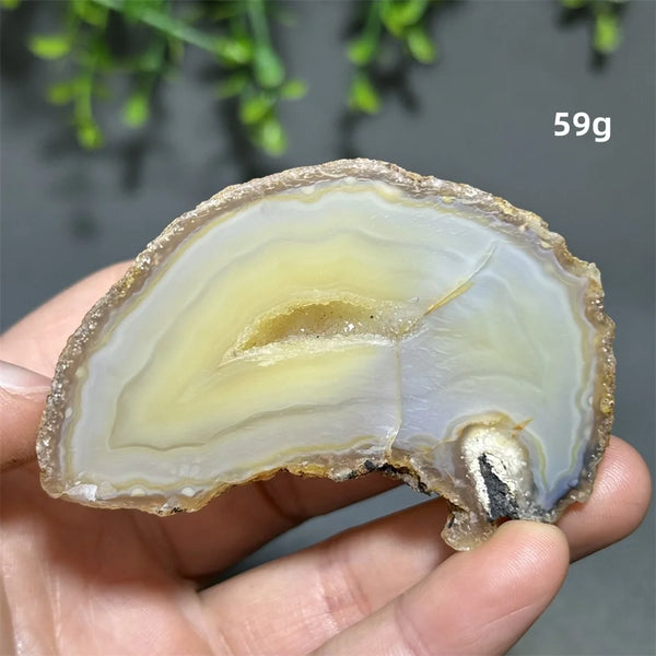 Yellow Agate Slice-ToShay.org