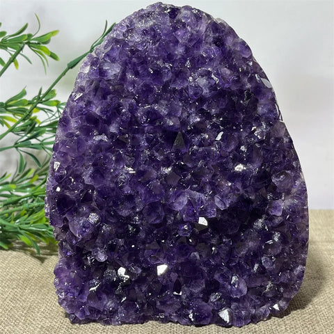 Purple Amethyst Cluster-ToShay.org