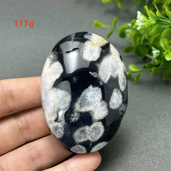 Black Cherry Blossom Agate-ToShay.org
