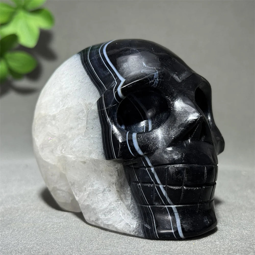 Black Agate Skull-ToShay.org