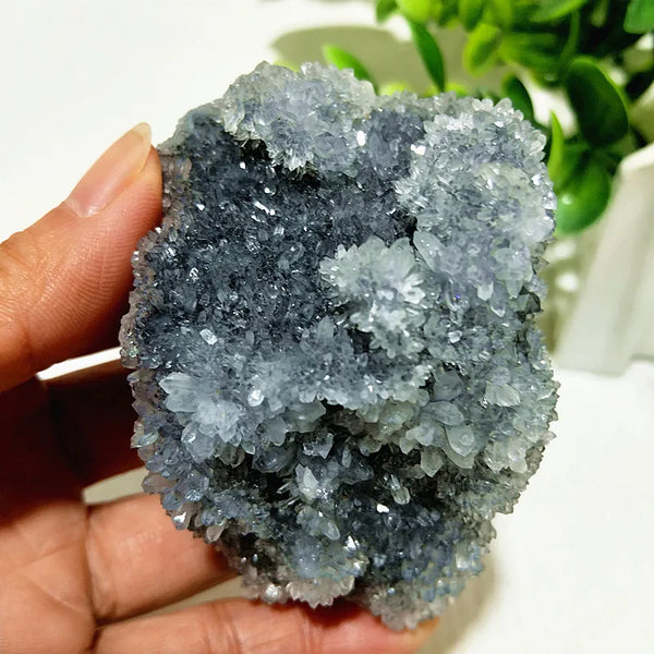 Blue Chrysanthemum Fluorite Cluster-ToShay.org