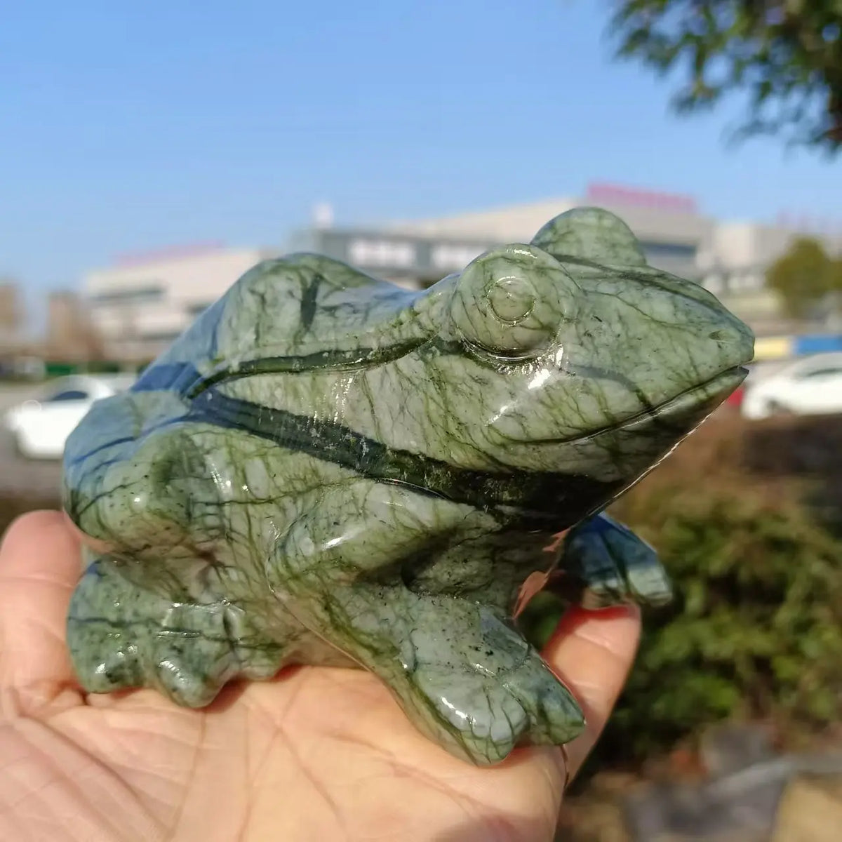 Green Jade Frog-ToShay.org