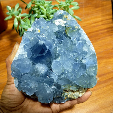 Blue Celestite Geode Crystal-ToShay.org