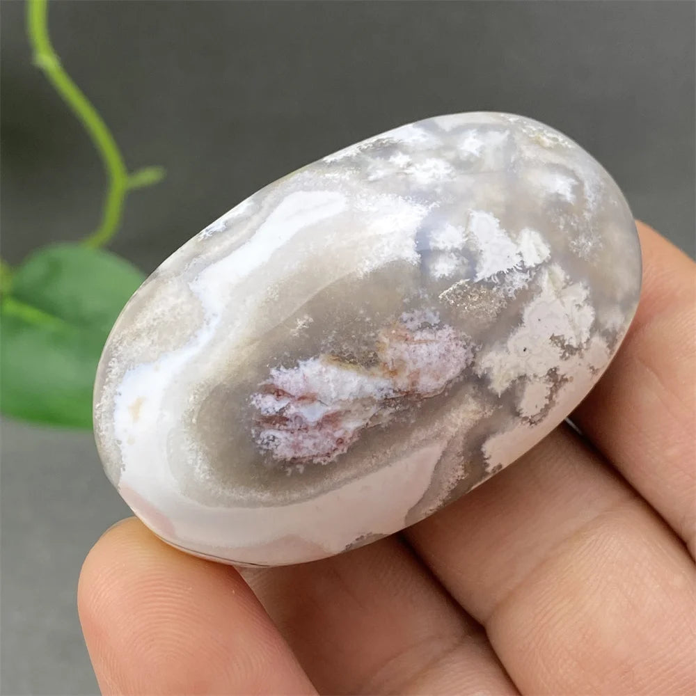 Red Lace Crazy Agate-ToShay.org