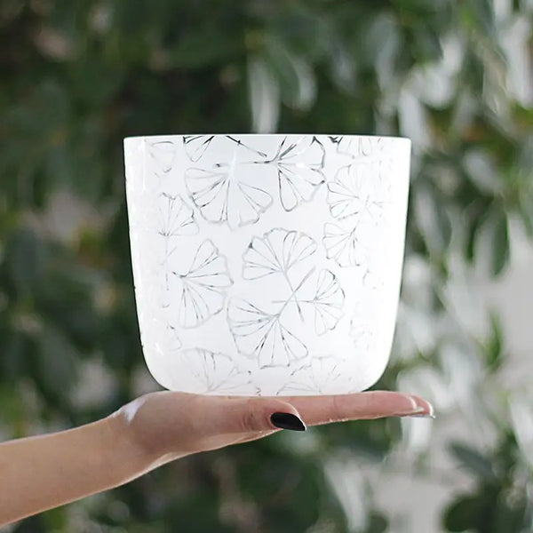 White Frosted Crystal Handle Bowl-ToShay.org
