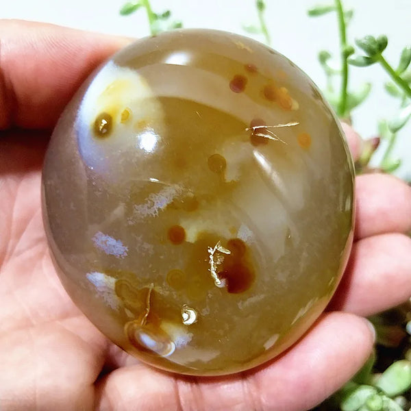 Mixed Lace Sardonyx Agate-ToShay.org