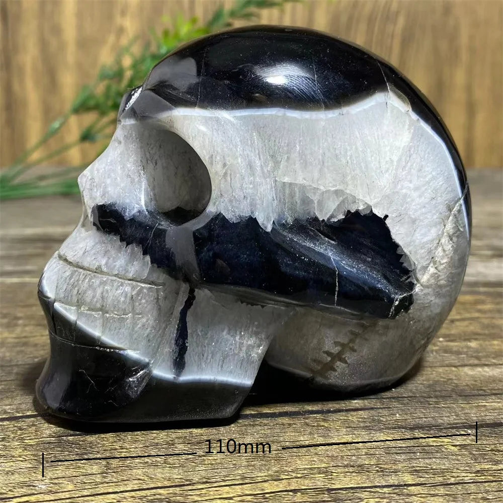 Black Agate Skull-ToShay.org