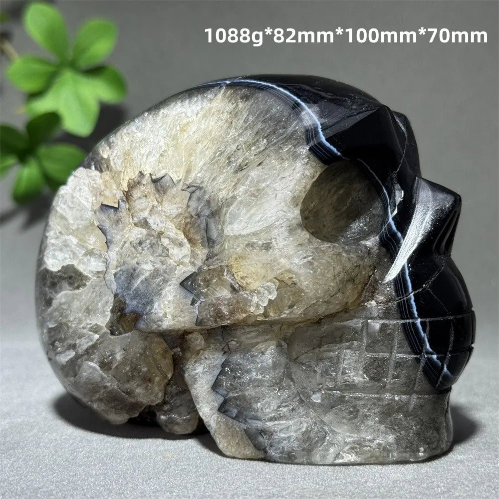 Black Agate Skull-ToShay.org